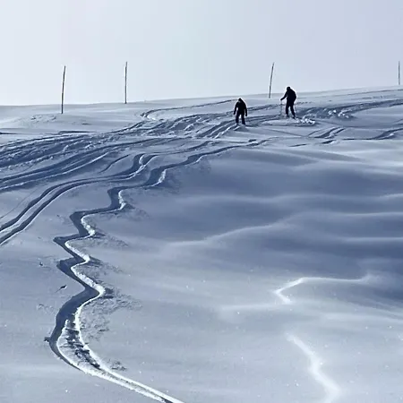 Le Balcon D'aillon Appartement *